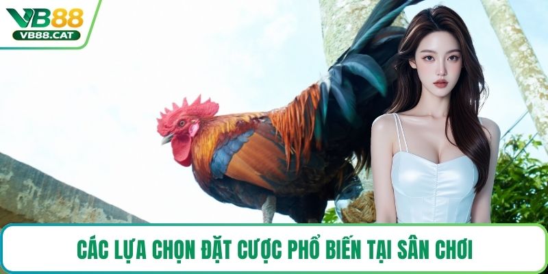 Các lựa chọn đặt cược phổ biến tại sân chơi