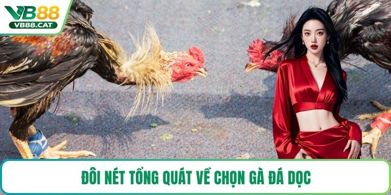 Đôi nét tổng quát về chọn gà đá dọc