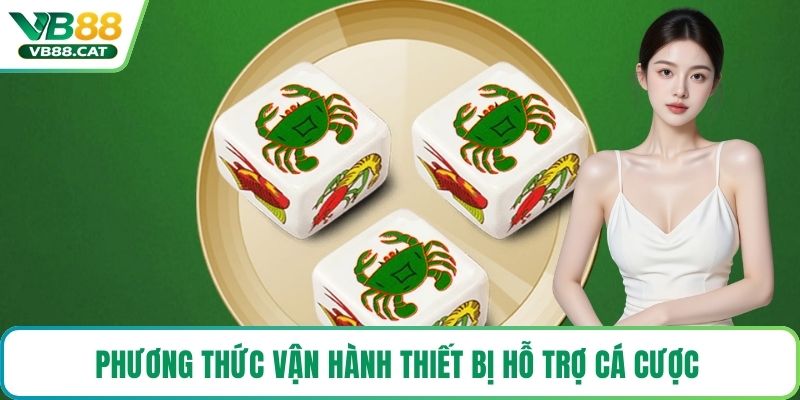 Phương thức vận hành thiết bị hỗ trợ cá cược 