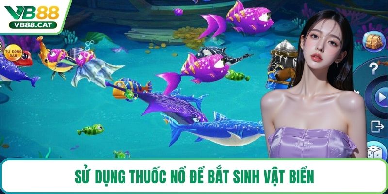Sử dụng thuốc nổ để bắt sinh vật biển