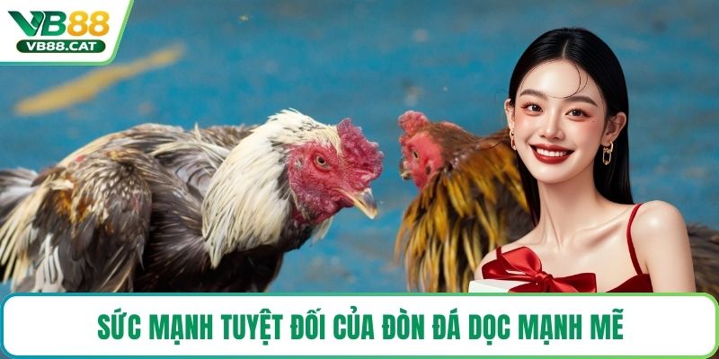 Sức mạnh tuyệt đối của đòn đá dọc mạnh mẽ
